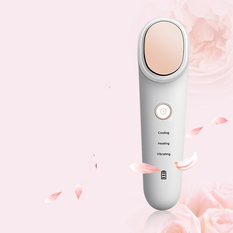 Ion beauty equipment